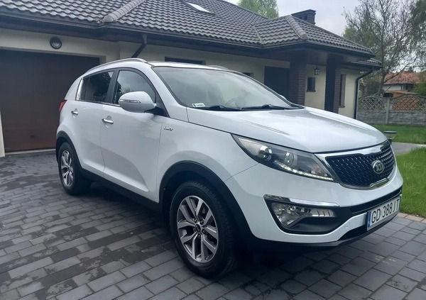 kia łódzkie Kia Sportage cena 64800 przebieg: 86000, rok produkcji 2015 z Koluszki